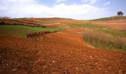 土壤墑情監測儀